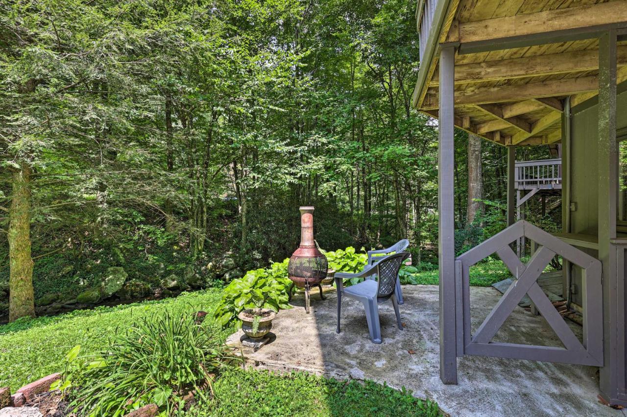 Creekside Roan Mountain Cabin Walk To Trails Экстерьер фото