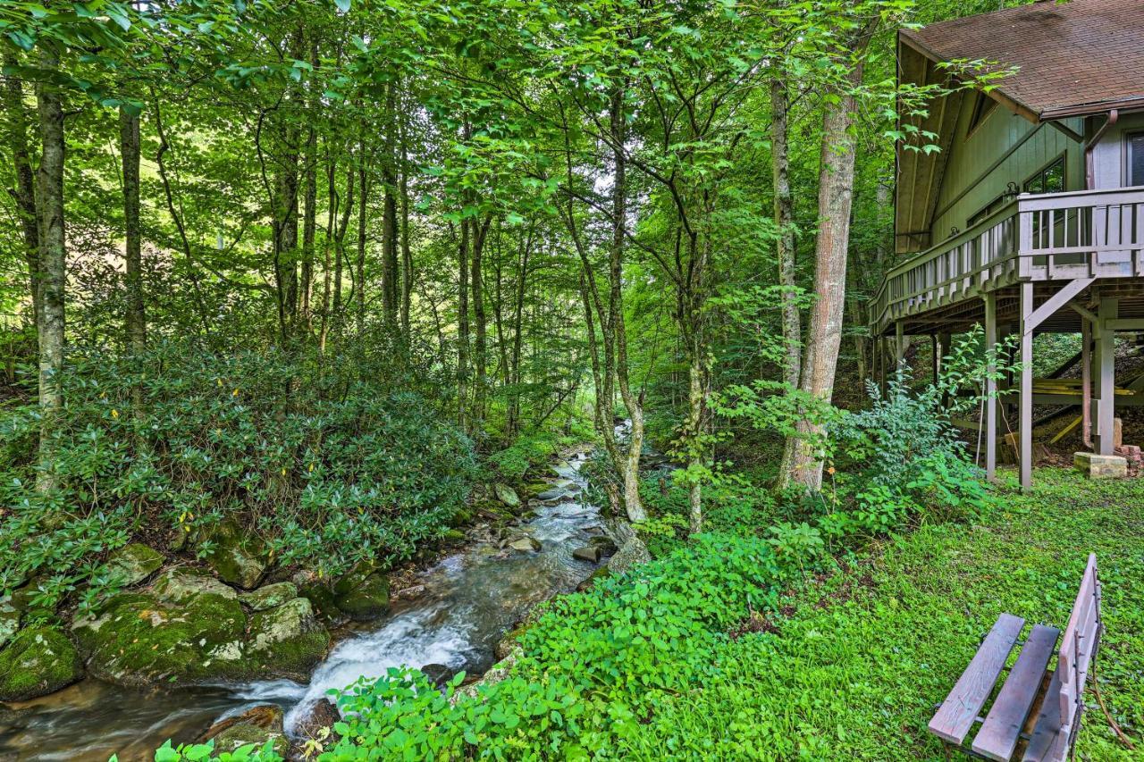 Creekside Roan Mountain Cabin Walk To Trails Экстерьер фото