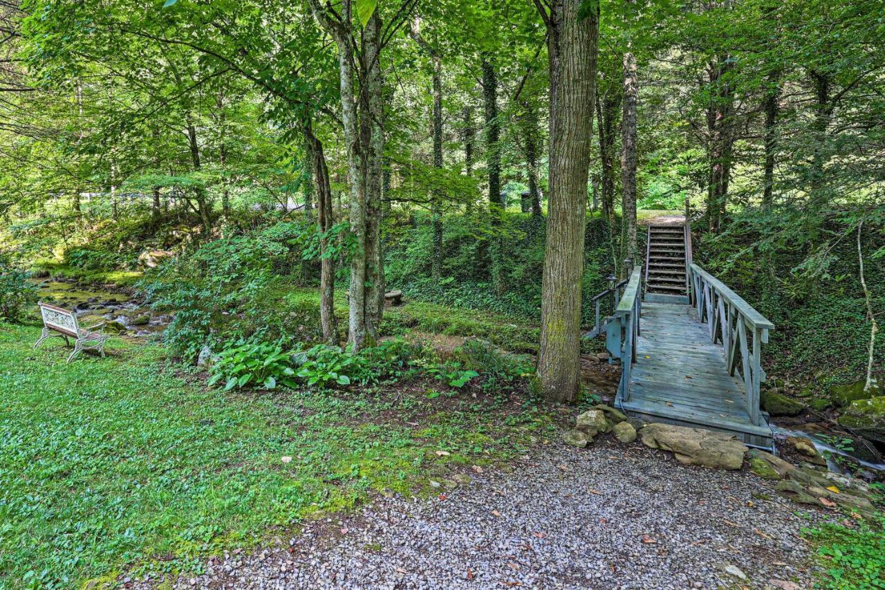 Creekside Roan Mountain Cabin Walk To Trails Экстерьер фото