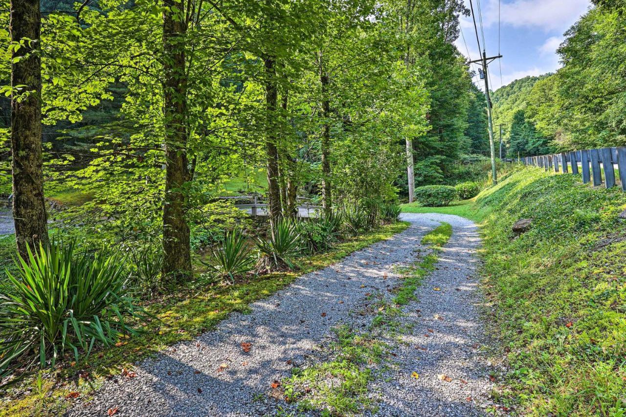 Creekside Roan Mountain Cabin Walk To Trails Экстерьер фото