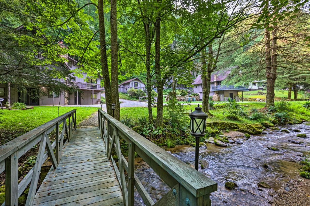 Creekside Roan Mountain Cabin Walk To Trails Экстерьер фото